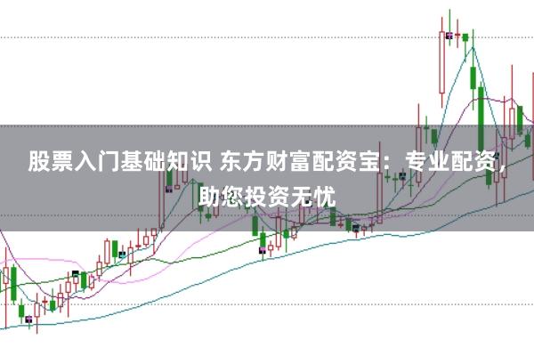 股票入门基础知识 东方财富配资宝：专业配资，助您投资无忧