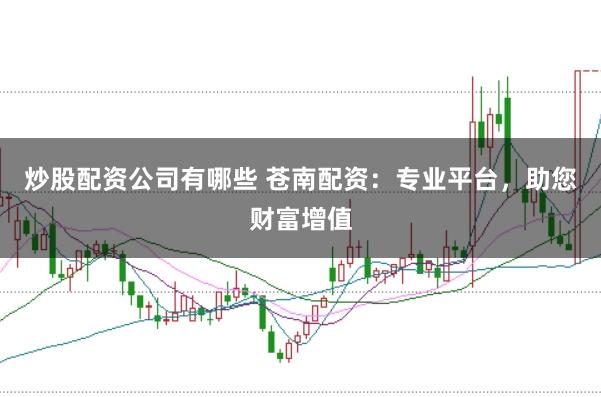炒股配资公司有哪些 苍南配资：专业平台，助您财富增值