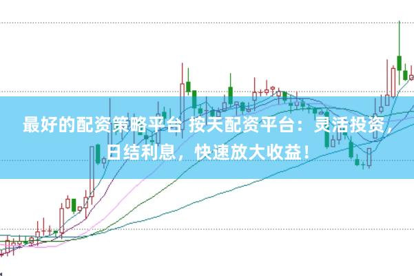 最好的配资策略平台 按天配资平台：灵活投资，日结利息，快速放大收益！