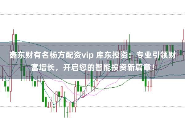 鑫东财有名杨方配资vip 库东投资：专业引领财富增长，开启您的智能投资新篇章！