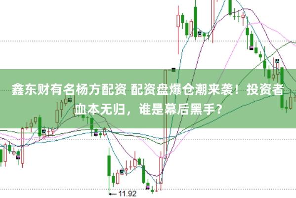 鑫东财有名杨方配资 配资盘爆仓潮来袭!投资者血本无归,谁是幕后黑手?