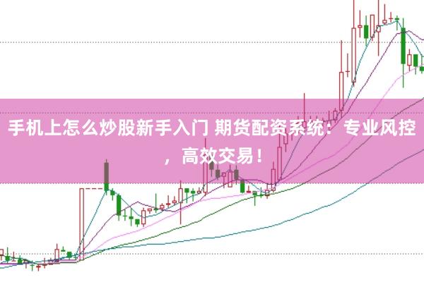 手机上怎么炒股新手入门 期货配资系统：专业风控，高效交易！