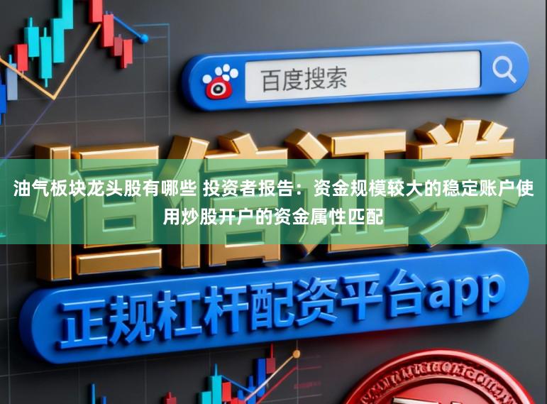 油气板块龙头股有哪些 投资者报告：资金规模较大的稳定账户使用炒股开户的资金属性匹配