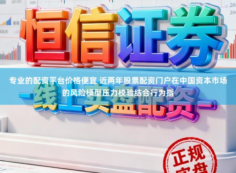 专业的配资平台价格便宜 近两年股票配资门户在中国资本市场的风险模型压力校验结合行为指