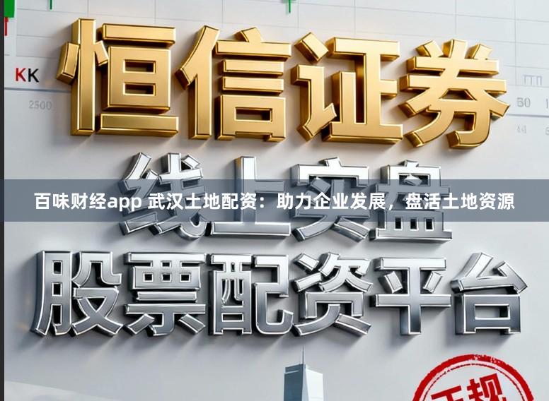 百味财经app 武汉土地配资：助力企业发展，盘活土地资源