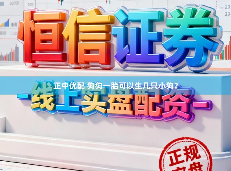正中优配 狗狗一胎可以生几只小狗？
